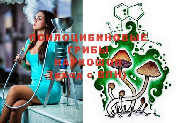 гидропоника Белоозёрский
