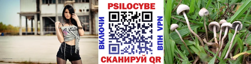 Галлюциногенные грибы MAGIC MUSHROOMS Вяземский