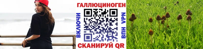 Псилоцибиновые грибы ЛСД  Вяземский 